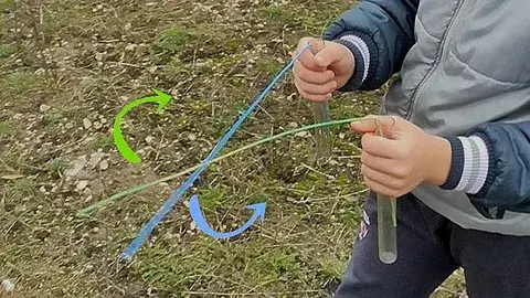 Поиск воды на участке